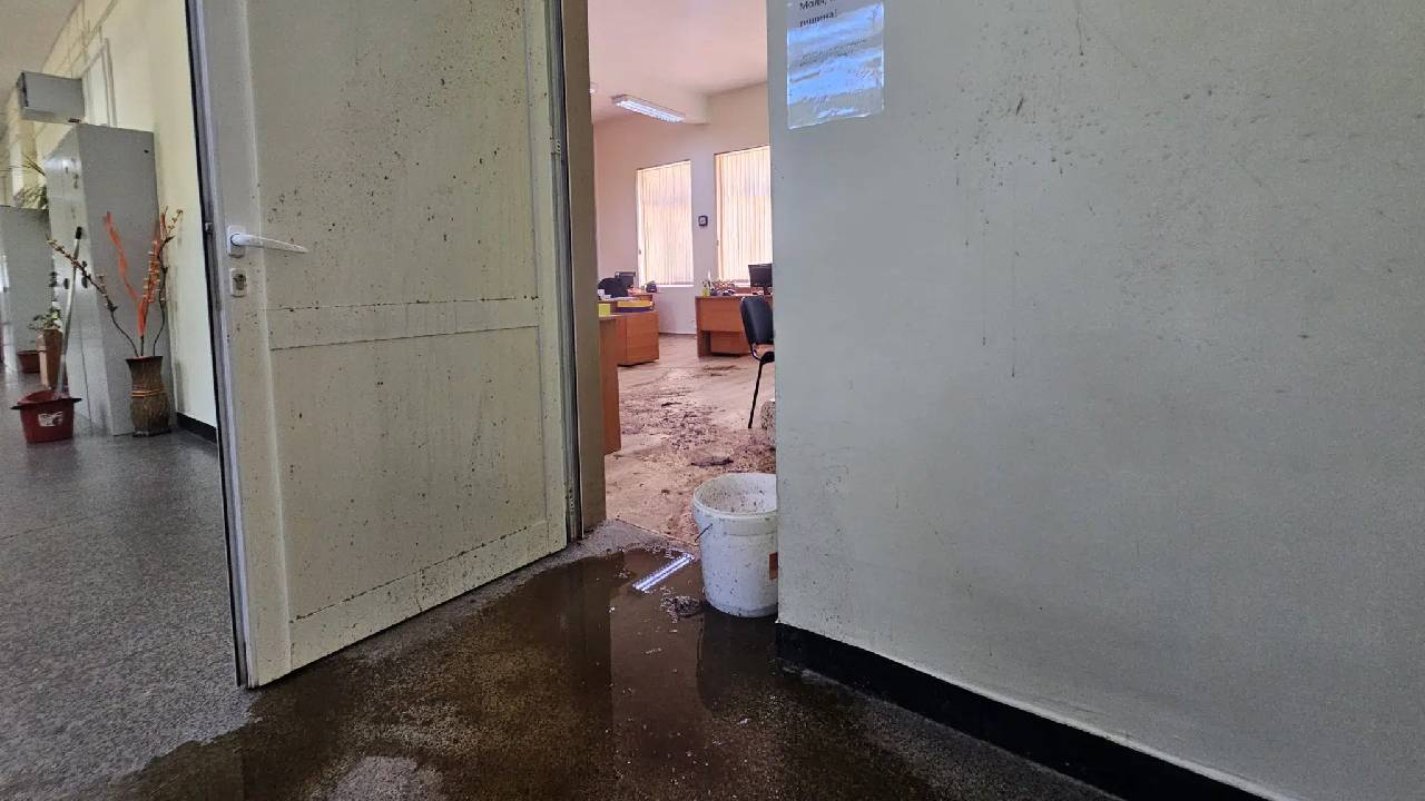 Марияна Петрова