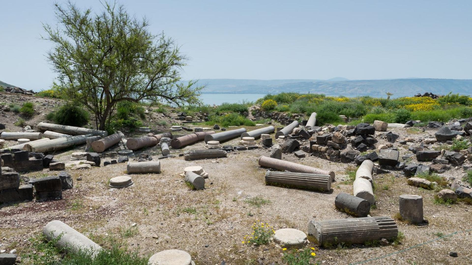 По време на разкопки в Националния парк Хипос Сусита в