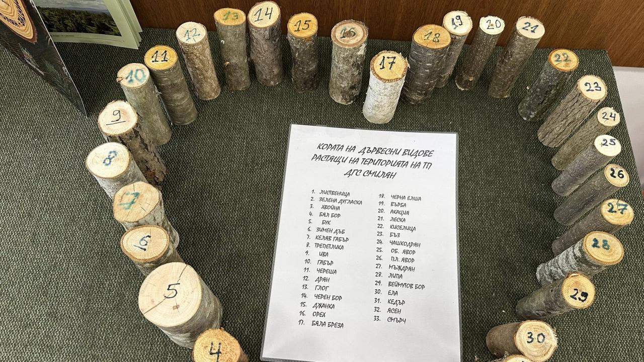 Горска класна стая в Смилян