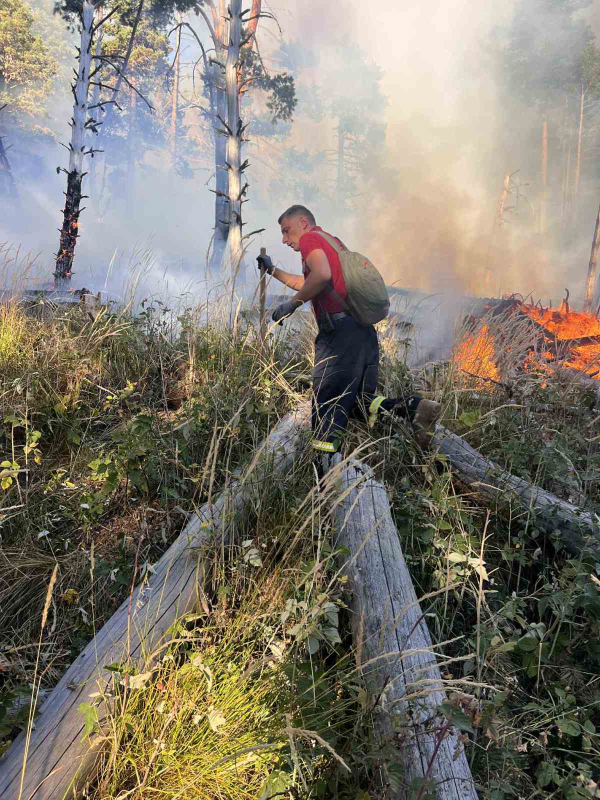 пожар нп рила