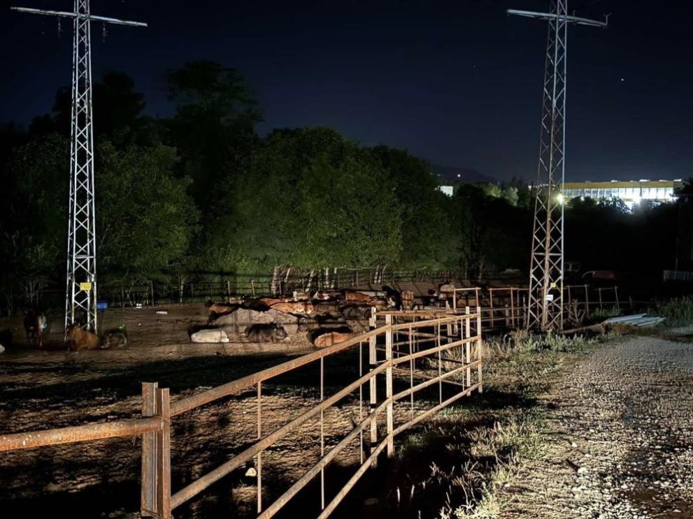  Пожар Лясковец 