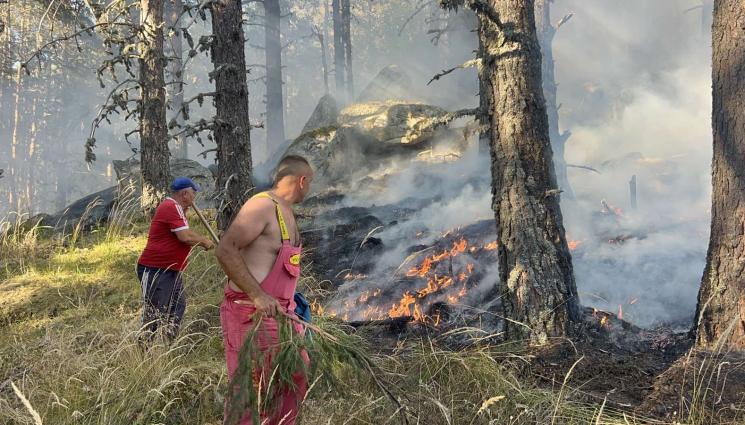 пожар рила - ИЗПЕПЕЛЯВАНЕ: Горят 800 декара от Природен парк 