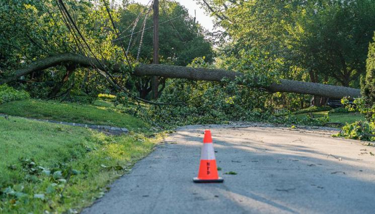 d - Буря удари Кюстендил! Кметът призова доброволците за помощ