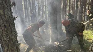 Рила пожар