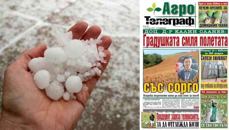 d - Ето какво ви очаква в новия брой на 