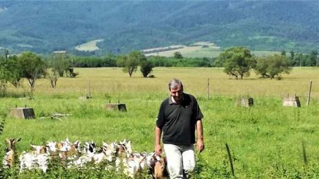 Теодор Вълчев