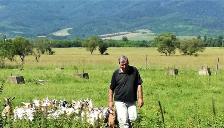 Теодор Вълчев - Агро Телеграф: Продуцент заряза телевизията, за да отглежда кози