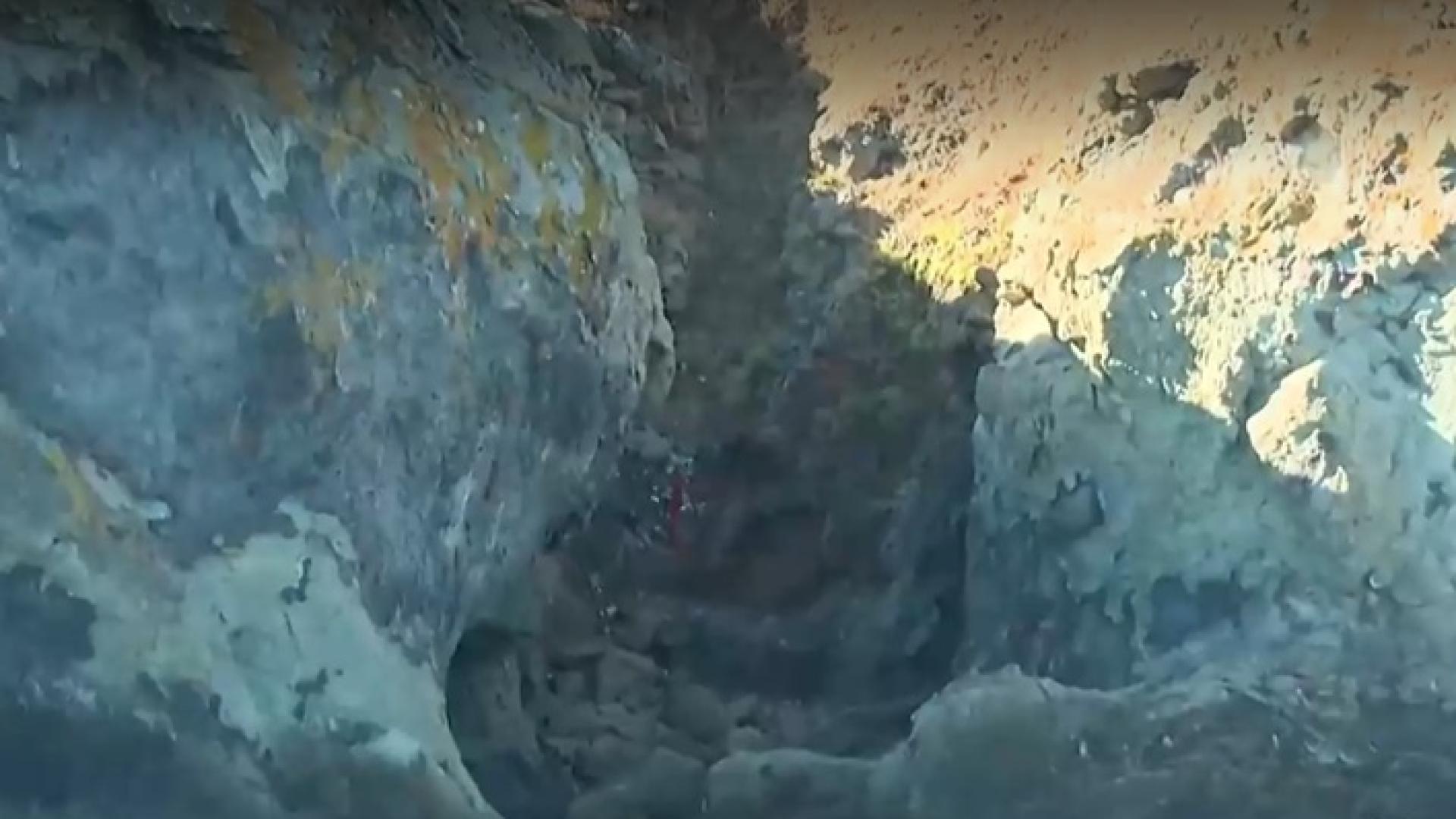 Неизвестни извършители с джетове откраднаха емблематичната скулптура на тюлена монах