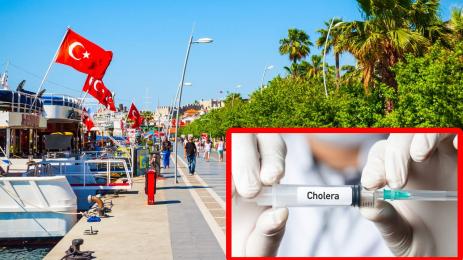 холера
