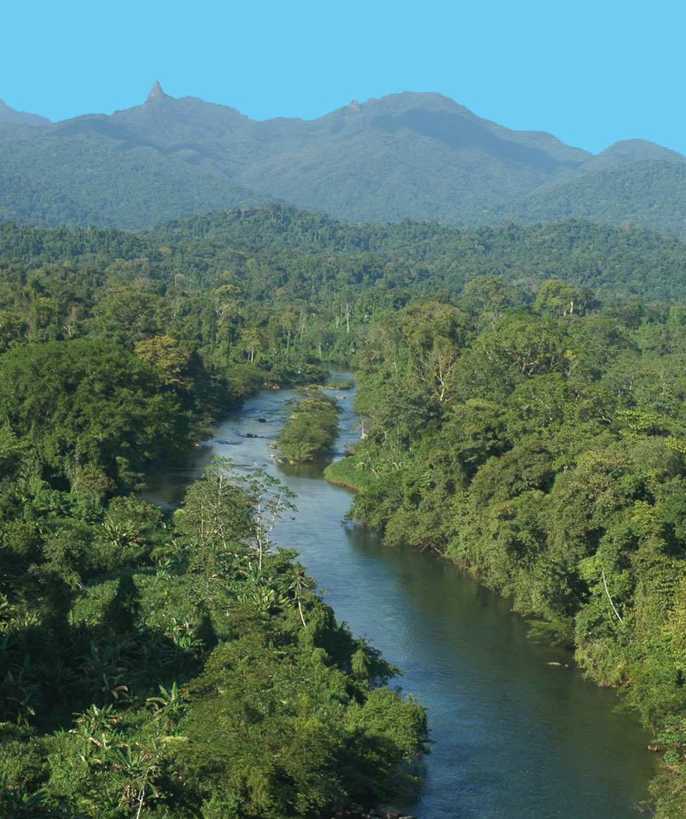 Резерватът Рио Платано