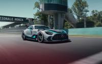 Mercedes AMG GT2 Edition W16