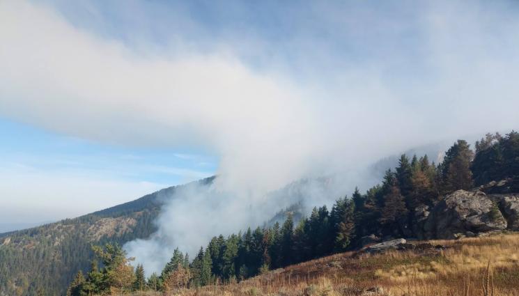 д - Пожарът в Рила се разраства, превзе 700 декара!