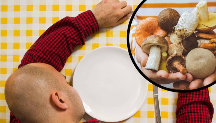 гъби - РОДНИНИ ОТ АДА: Жена изби семейството на мъжа си с гъби!