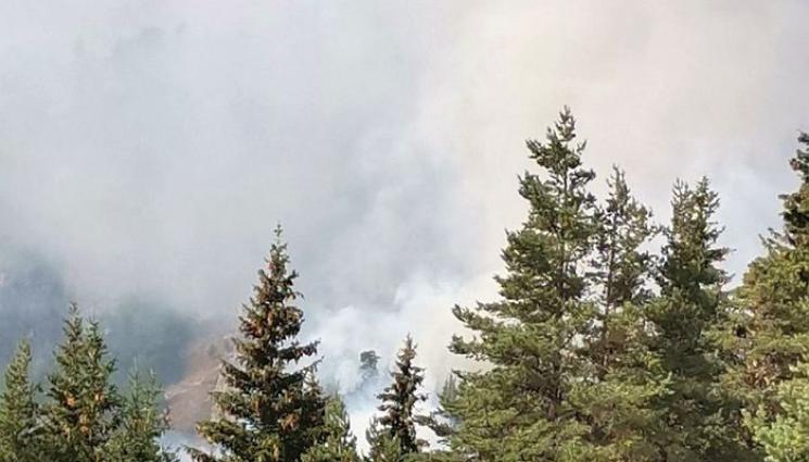 рила - Пожарът в Рила бушува в борова гора, вятър го разгаря!