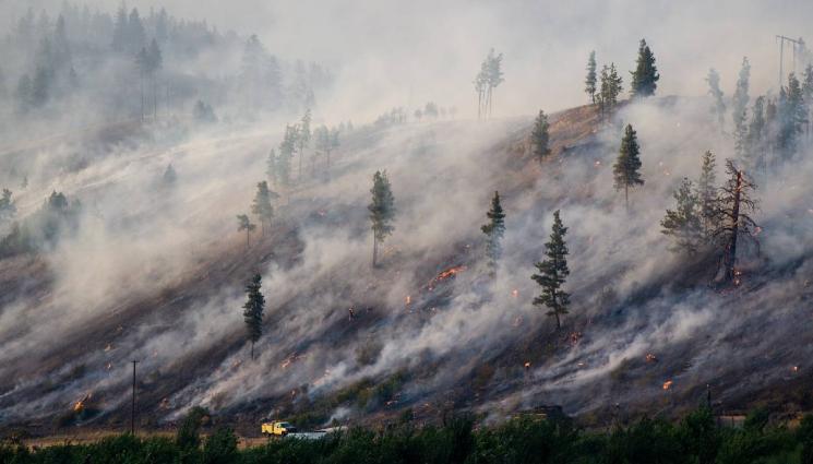 д - Дъжд заваля над пожара в национален парк „Рила“