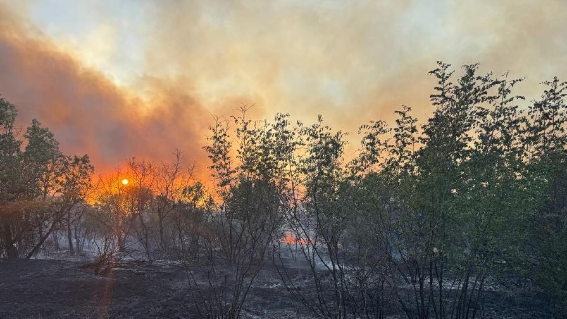 Пожарът на територията на Сакар който избухна вчера между селата