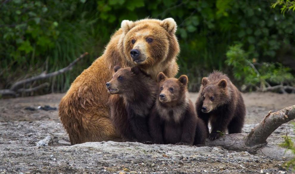 Напрежение и страх са обзели жителите на казанлъшкото село Ясеново, предаде