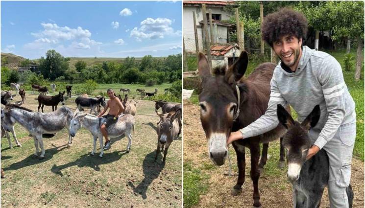 Бутан - Агро Телеграф: Магарешкият рай е в Бутан