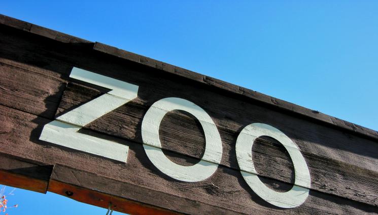 зоопарк - ЧУДО НЕВИЖДАНО: Регистрираха случай на непорочно зачатие в зоопарк!