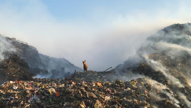сметище - Сметището “Дрисла“ гори трети ден