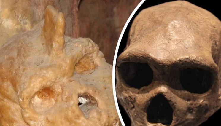 рогат череп - Рогат череп стряска народа в Гърция