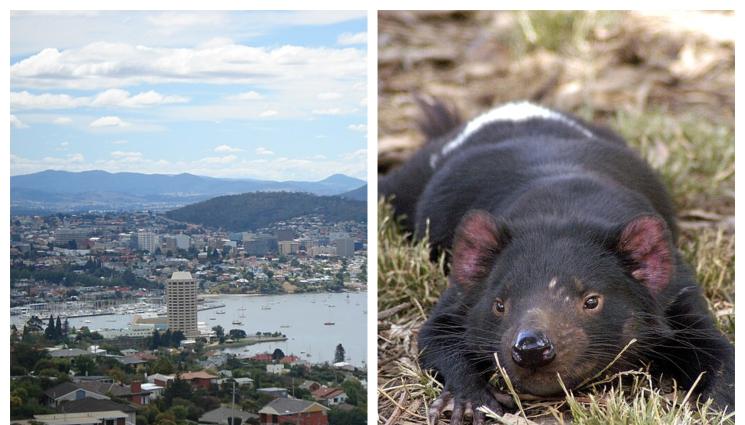 с - ОКОЛОСВЕТСКО ПЪТЕШЕСТВИЕ: На гости при тасманийския дявол! (СНИМКИ)