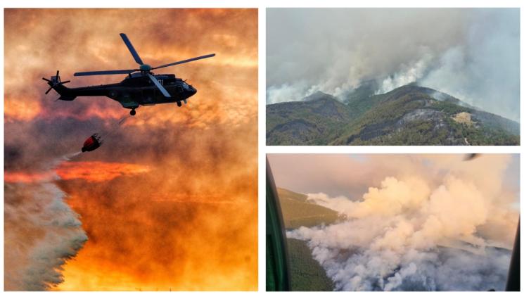 а - ОТ НАЧАЛОТО НА ГОДИНАТА: Пожари погълнаха 300 000 дка гори!