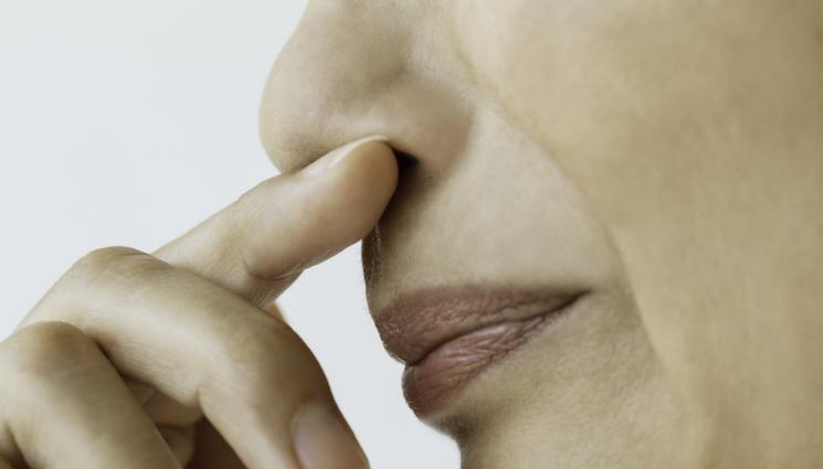 воня смрад миризма