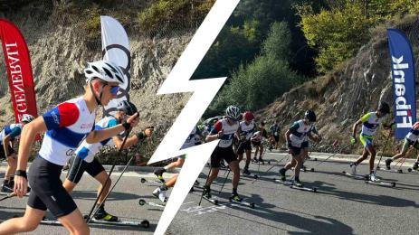 Ролкови ски