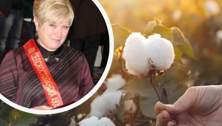 Нели Колева - Агро Телеграф: Фермери напират да гледат памук