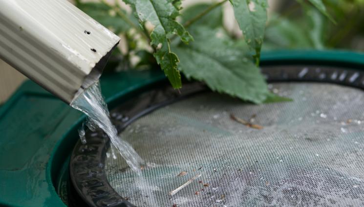 дъждовна вода - Агро Телеграф: Амфори събират дъждовна вода за градината