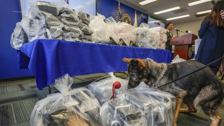 сащ колумбия наркотици