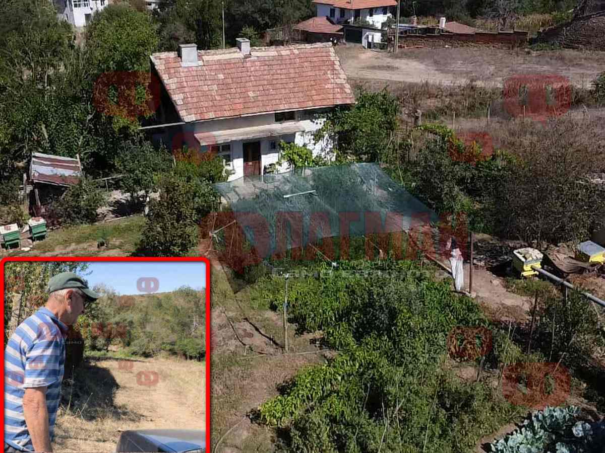 Николай Маджаров