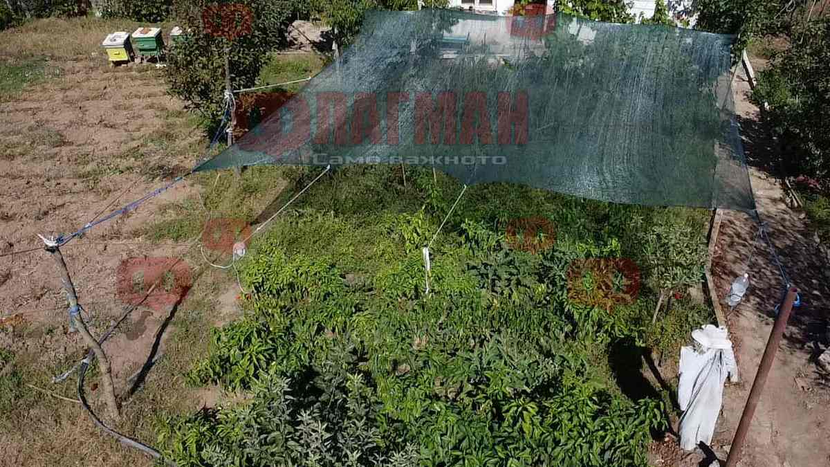 Николай Маджаров