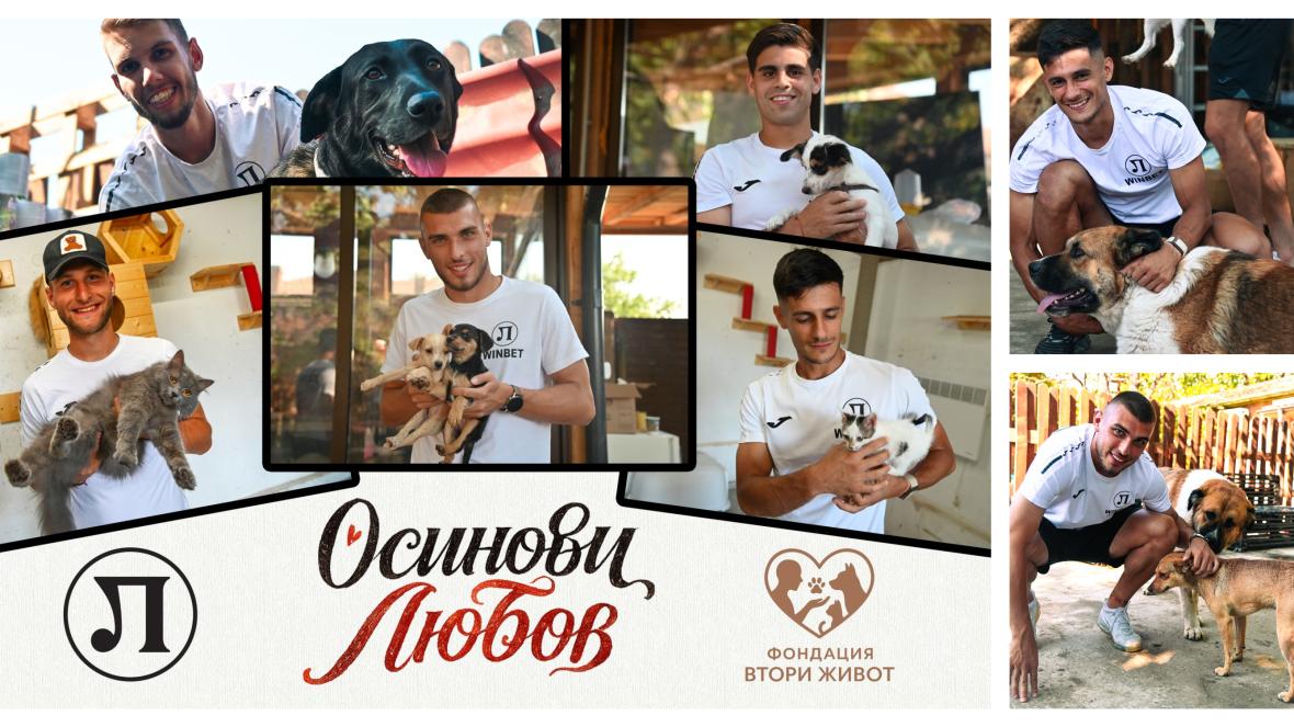 Локо Пловдив кампания за бездомни животни