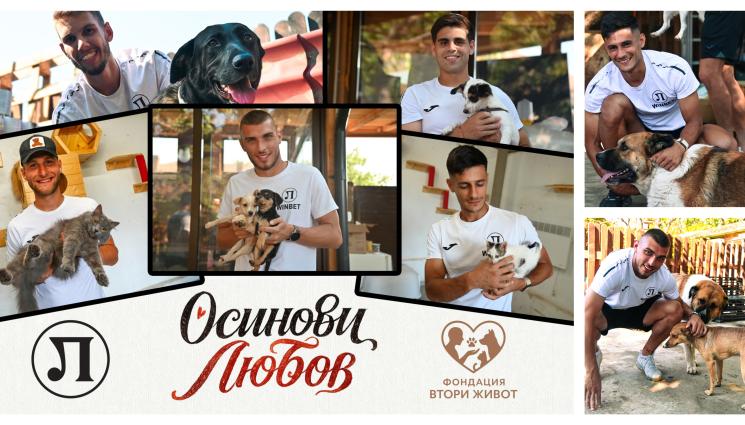 Локо Пловдив кампания за бездомни животни - „Смърфовете” подсилиха отбор четириноги