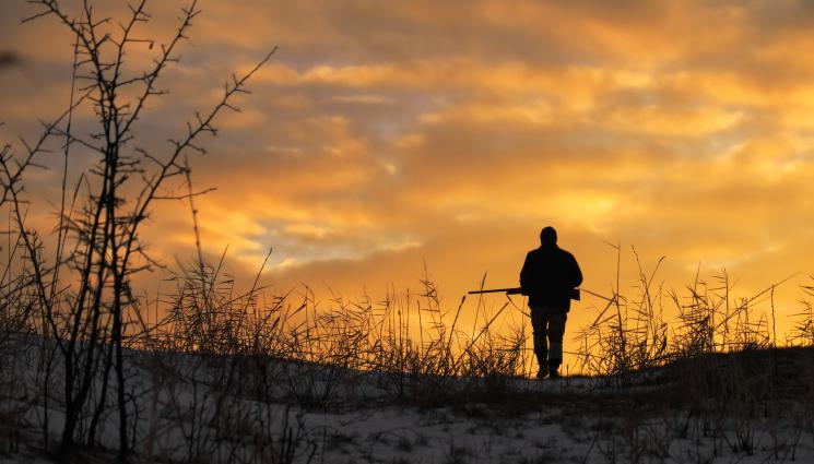 ловец - ДИВ ЕКШЪН: Ловец блъсна два пъти горски инспектори!