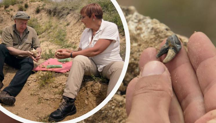 зъб чирпан - Според немска палеонтоложка: Маймуните станали хора в Чирпан!