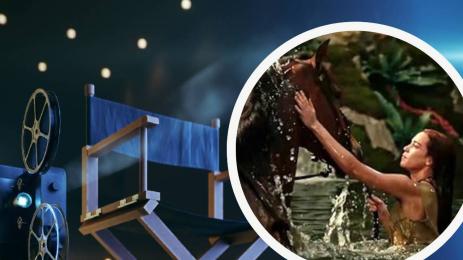 червената соня