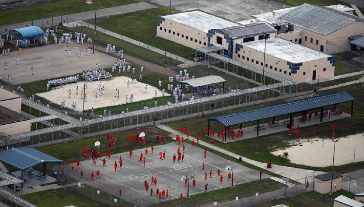 Алигатор Алкатраз - КАК ТАКА? Над 800 затворници изчезнаха безследно от 