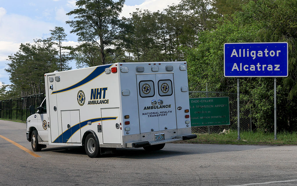 Алигатор Алкатраз