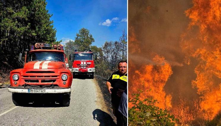 д - Огнена стихия над Асеновград, прекъснато е електричеството! (СНИМКИ)