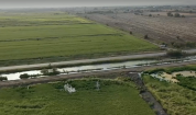 Производство на ориз