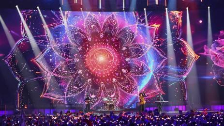 Интервизия