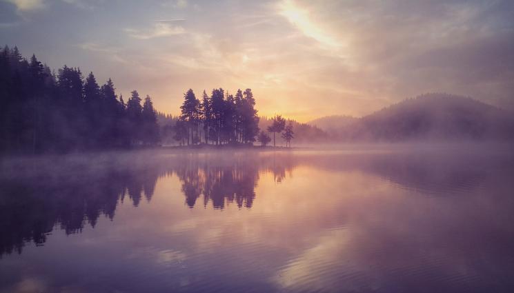 d - Загадъчен мост изплува от водите на язовир! (СНИМКИ)