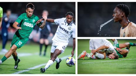 Славия Берое