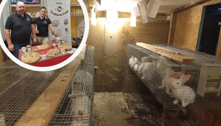 заешка ферма - Агро Телеграф: Дърводелец създаде Заешка къща на час път от жълтите павета