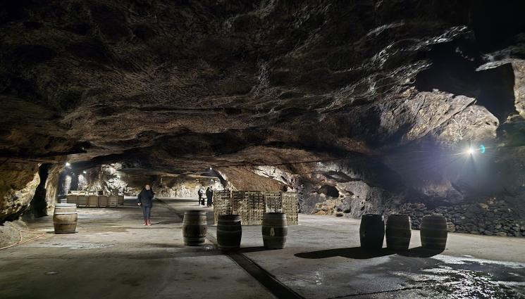 изба - Агро Телеграф: Пенливо вино отлежава в Магурата