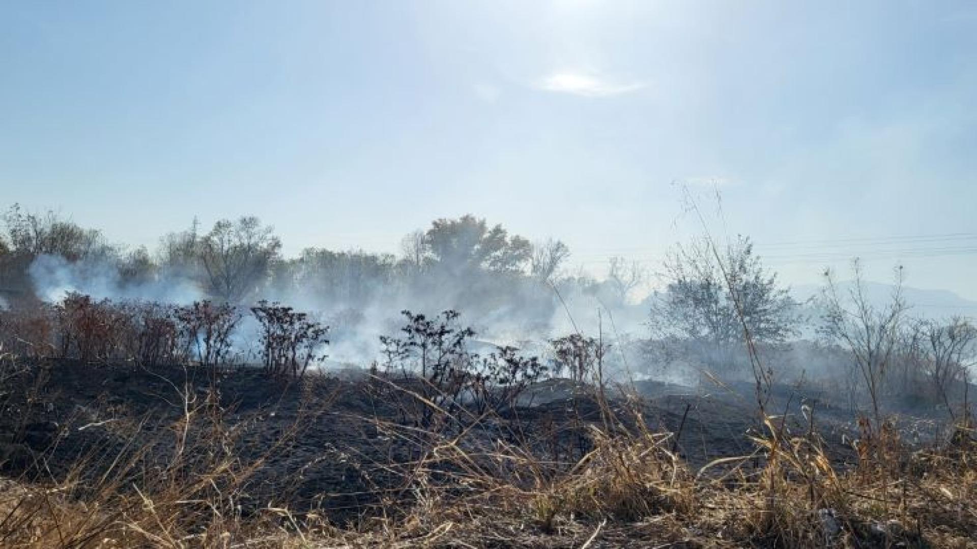 Регионалната инспекция по околната среда и водите РИОСВ в Пловдив
