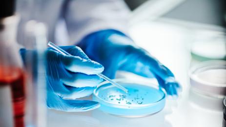 лаборатория